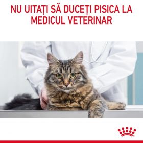 Royal Canin Digest Sensitive Care Adult hrană umedă pisică, confort digestiv (în sos), 12 x 85g