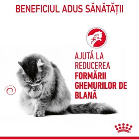 Royal Canin Hairball Care Adult hrană uscată pisică, Limitarea Ghemurilor de blană, 10kg