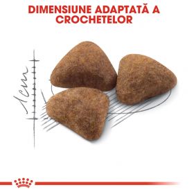 Royal Canin Indoor Adult hrană uscată pisică de interior, 400g