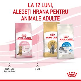 Royal Canin Kitten Sterilised, hrană uscată pisici sterilizate junior, 400g