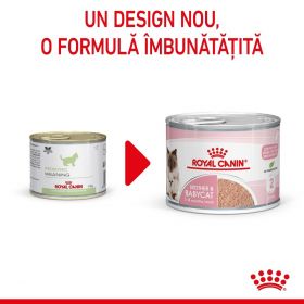 Royal Canin Mother & BabyCat hrană umedă pisică, mama și puiul (textură spumoasă), 195g