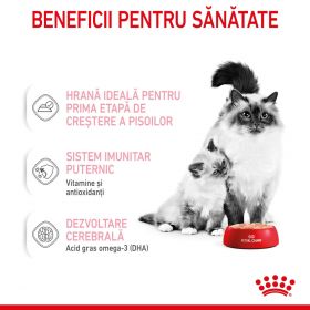 Royal Canin Mother & BabyCat hrană umedă pisică, mama și puiul (textură spumoasă), 195g