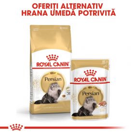 Royal Canin Persian Adult hrană umedă pisică (pate), 12 x 85g