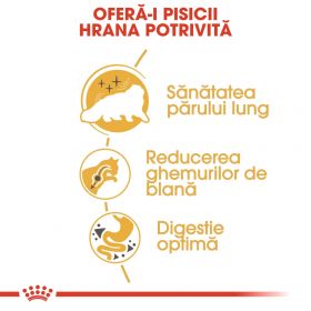 Royal Canin Persian Adult hrană uscată pisică, 10kg