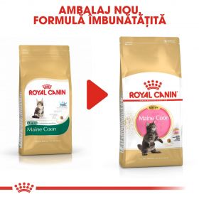 Royal Canin Maine Coon Kitten hrană uscată pisică junior, 10kg