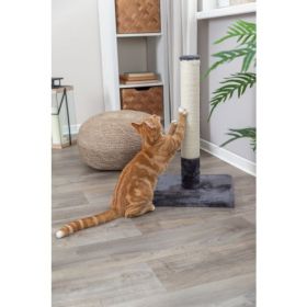 Sisal Plat cu Stalp, 38 x 38 x 62 cm,gri, 43361