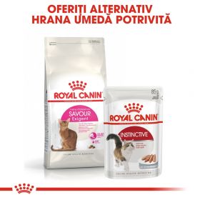 Royal Canin Exigent Savour Adult hrană uscată pisică, apetit capricios, 4kg