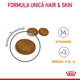 Royal Canin Hair&Skin Care Adult hrană uscată pisică, piele și blană, 4kg