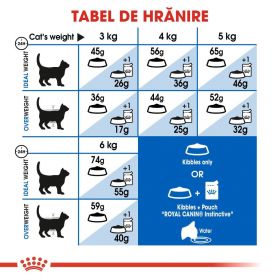 Royal Canin Indoor Adult hrană uscată pisică de interior, 10kg