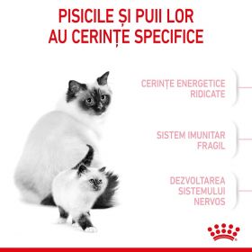 Royal Canin Mother & BabyCat hrană uscată pisică, mama și puiul, 400g