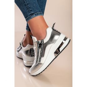 AdidaÈ™i La ModÄƒ Cu InscripÈ›ii, Argintii