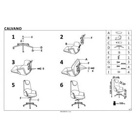 Scaun directorial HM Calvano