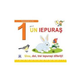 1 de la Un iepuras. Unu, doi, trei iepurasi diferiti! Cartonata - Greta Cencetti