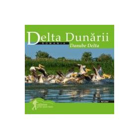 Calator prin tara mea. Delta Dunarii - Florin Andreescu