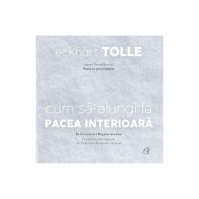 Audiobook. Cum sa ajungi la pacea interioara - Eckhart Tolle