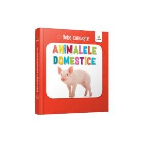 Animalele domestice. Bebe Cunoaste