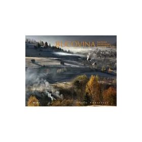 Album Bucovina, Tara Fagilor. Romana, engleza, germana - Florin Andreescu, Mihai Camilar