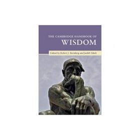 The Cambridge Handbook of Wisdom - Robert J. Sternberg, Judith Gluck