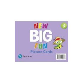 Big Fun Refresh Level 3 Picture Cards