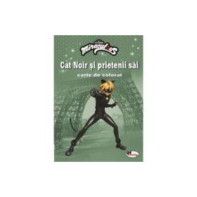 Cat Noir si prietenii sai. Carte de colorat