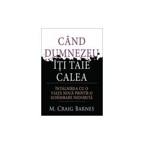 Cand Dumnezeu iti taie calea - M. Craig Barnes