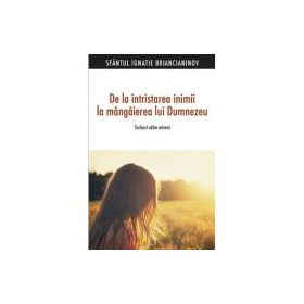 De la intristarea inimii la mangaierea lui Dumnezeu. Scrisori catre mireni -Sf. Ignatie Briancianinov