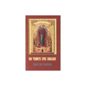 Din temnite spre sinaxare - Danion Vasile