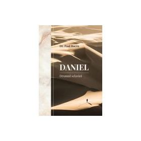 Daniel. Drumul sclaviei - Paul Boeru
