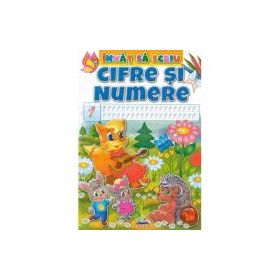 Invat sa scriu. Cifre si numere