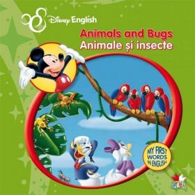 Animals and Bugs. Animale si insecte. My First Words in English | 