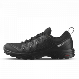 X BRAZE GTX