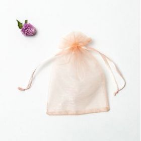 Saci Organza 100 buc caisă XXL