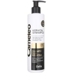 Delia Cosmetics Cameleo BB Sampon cu keratina pentru par deteriorat