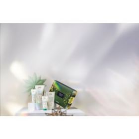 Aveda Hand Relief & Foot Relief Set set cadou (pentru corp)