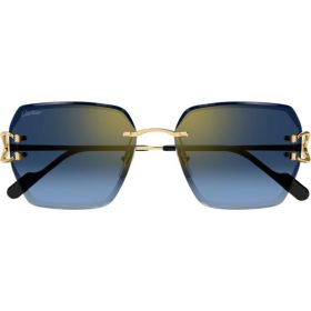 Cartier CT0466S 002