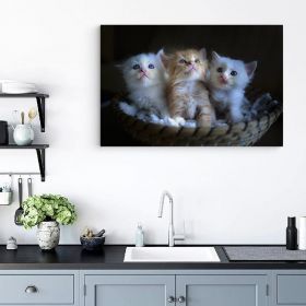 Tablou 3 pisicute in cosulet - Material produs:: Poster pe hartie FARA RAMA, Dimensiunea:: 50x70 cm
