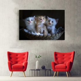 Tablou 3 pisicute in cosulet - Material produs:: Poster pe hartie FARA RAMA, Dimensiunea:: 50x70 cm