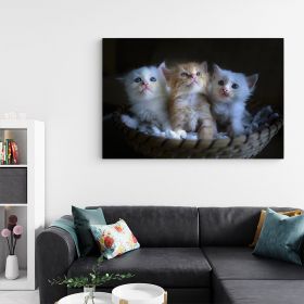 Tablou 3 pisicute in cosulet - Material produs:: Poster pe hartie FARA RAMA, Dimensiunea:: 50x70 cm