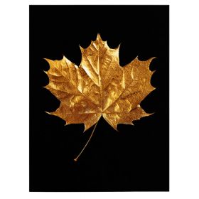 Frunza aurie de artar tablou - Material produs:: Tablou canvas pe panza CU RAMA, Dimensiunea:: 70x100 cm