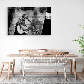 Tablou afis Ed Sheeran cantaret 2284 - Material produs:: Poster pe hartie FARA RAMA, Dimensiunea:: 70x100 cm