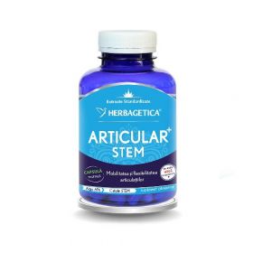 Articular Stem 120cps Herbagetica