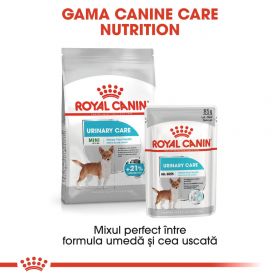 Royal Canin Mini Urinary Care, hrană uscată câini, sănătatea tractului urinar, 1kg