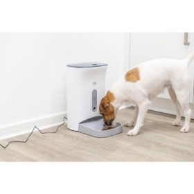 TRIXIE Smart TX8 2.0, hranitor automat caini, alb si gri, 4.5l ( 24x38x19cm )