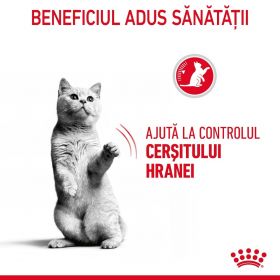 Royal Canin Appetite Control Care, hrană uscată pisici, adult sterilizat, reglarea apetitului ROYAL CANIN Feline Care Nutrition Appetite Control Care, hrană uscată pisici, managementul greutății, 3.5kg