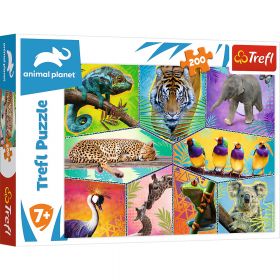 PUZZLE TREFL 200 ANIMAL PLANET O LUME EXOTICA