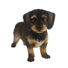 Esschert Design Statueta caine Wirehaired Dachshund