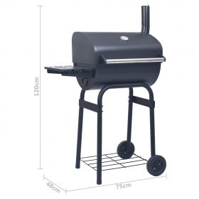 Gratar barbecue cu carbuni