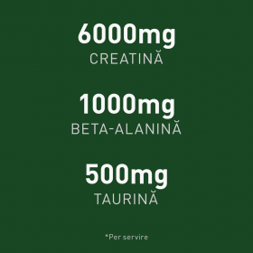 The Creatine 316g, 39 de porții - Ediție Limitată