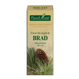 BRAD - muguri - gemoderivat - 50ml - PlantExtrakt
