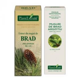 BRAD - muguri - gemoderivat concentrat - 15ml - PlantExtrakt